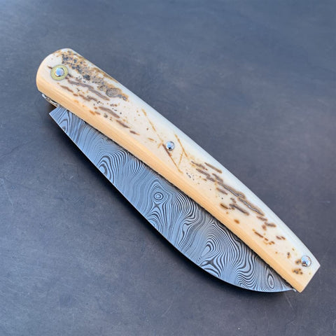 Liadou Exception in Fossilized Mammoth Ivory &amp; Damascus Blade V2