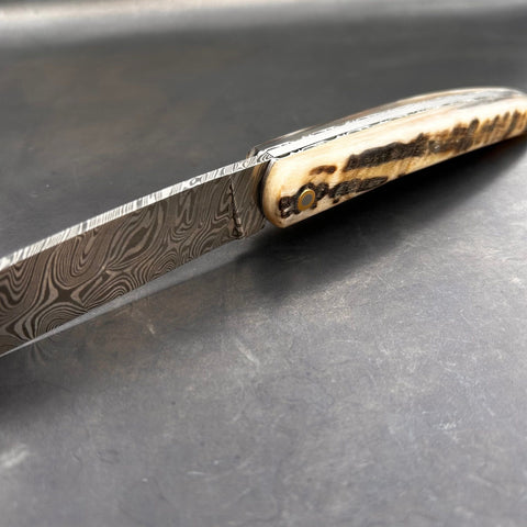 Liadou Exception in Ram's Horn, Chiselled Platinums &amp; Damascus Blade