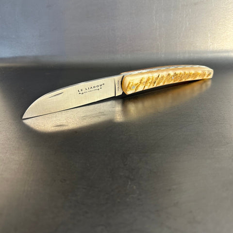 Liadou Exception in Ram's Horn & Chiseled Plates