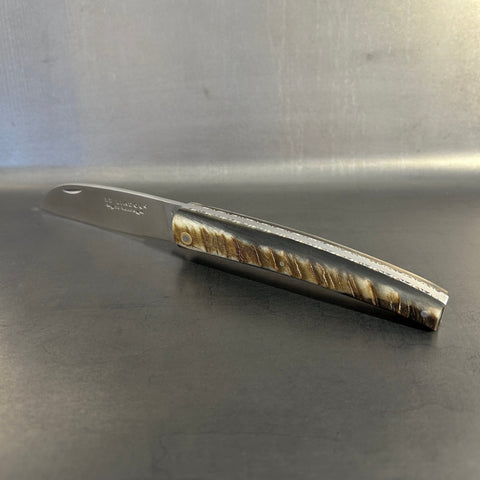 Liadou Exception in Ram's Horn & Chiseled Plates