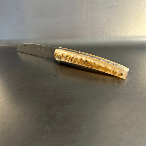 Liadou Exception in Ram's Horn & Chiseled Plates
