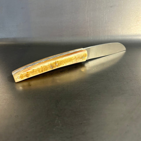 Liadou Exception in Ram's Horn & Chiseled Plates
