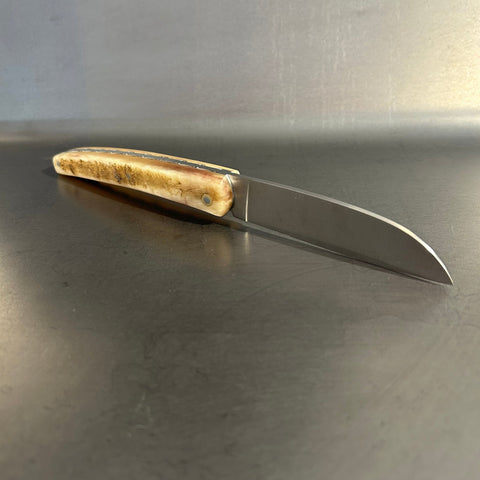 Liadou Exception in Ram's Horn & Chiseled Plates