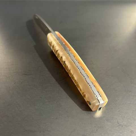 Liadou Exception in Ram's Horn & Chiseled Plates