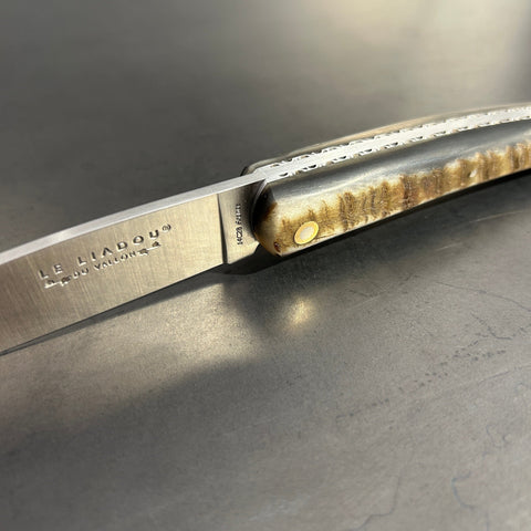 Liadou Exception in Ram's Horn & Chiseled Plates