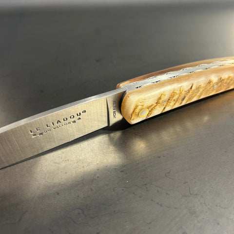 Liadou Exception in Ram's Horn & Chiseled Plates