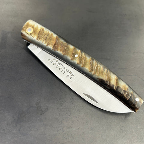 Liadou Exception in Ram's Horn & Chiseled Plates
