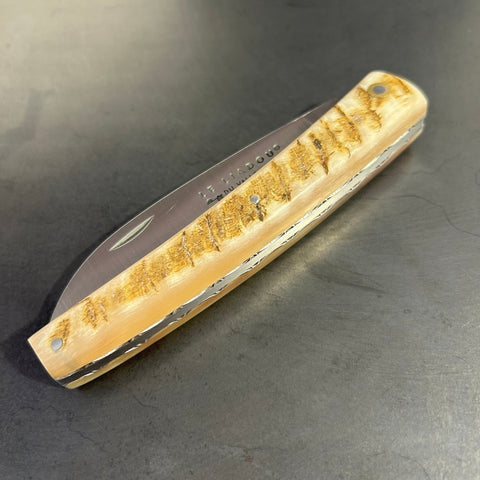 Liadou Exception in Ram's Horn & Chiseled Plates