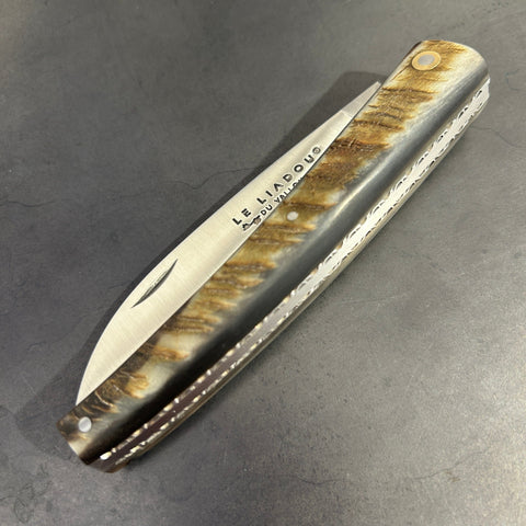Liadou Exception in Ram's Horn & Chiseled Plates