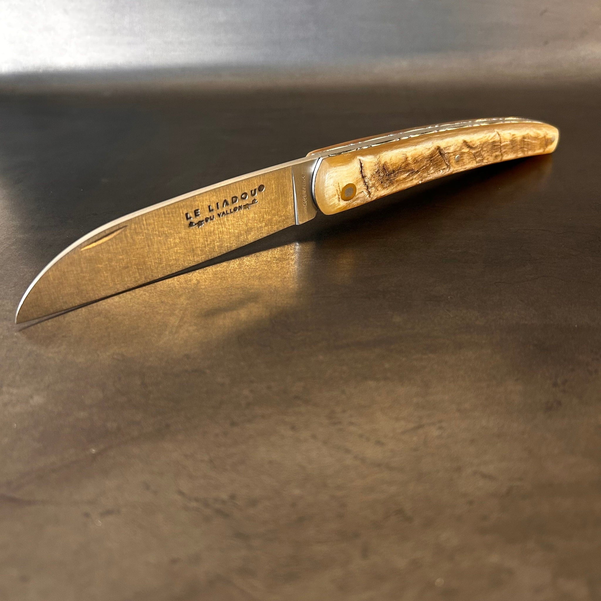 Liadou Exception in Ram's Horn & Chiseled Plates