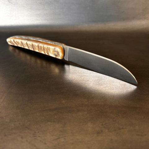 Liadou Exception in Ram's Horn & Chiseled Plates