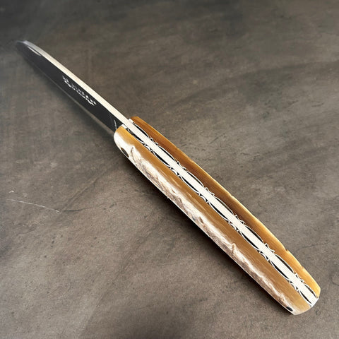 Liadou Exception in Ram's Horn & Chiseled Plates