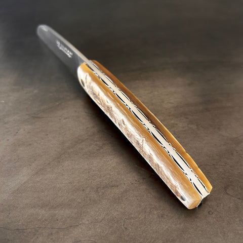 Liadou Exception in Ram's Horn & Chiseled Plates