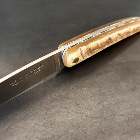 Liadou Exception in Ram's Horn & Chiseled Plates