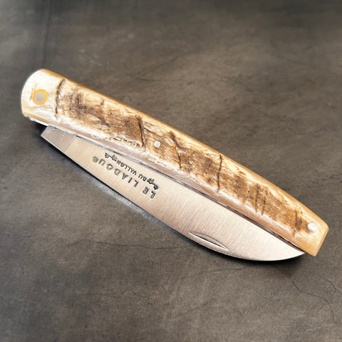 Liadou Exception in Ram's Horn & Chiseled Plates