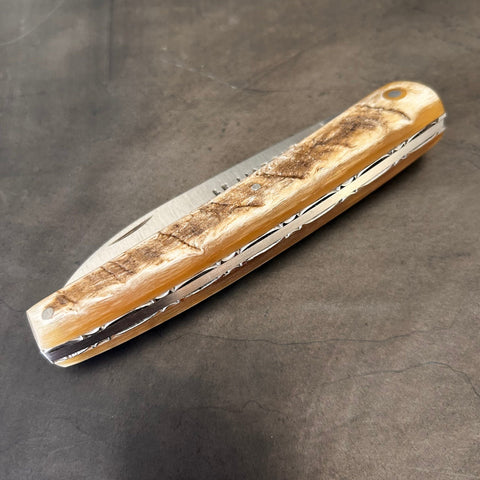 Liadou Exception in Ram's Horn & Chiseled Plates