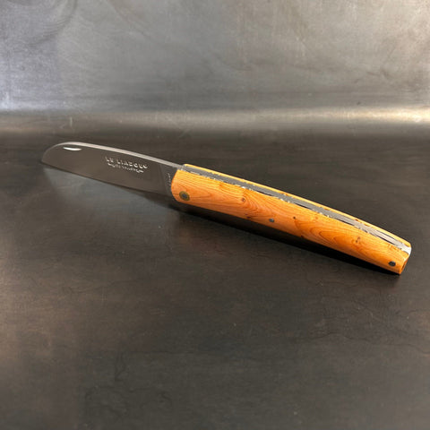Liadou ® Exception in Juniper & Chiseled Plates