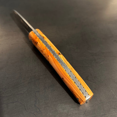 Petit Liadou in Juniper & Chiseled Plates