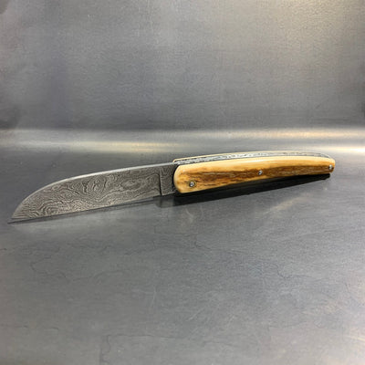 Liadou ® Exception in Fossilized Mammoth Ivory & Damascus Blade