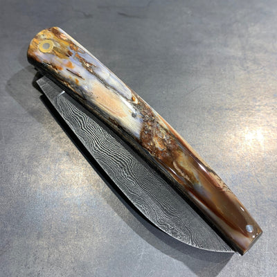 Liadou ® Exception in Fossilized Mammoth Ivory & Damascus Blade